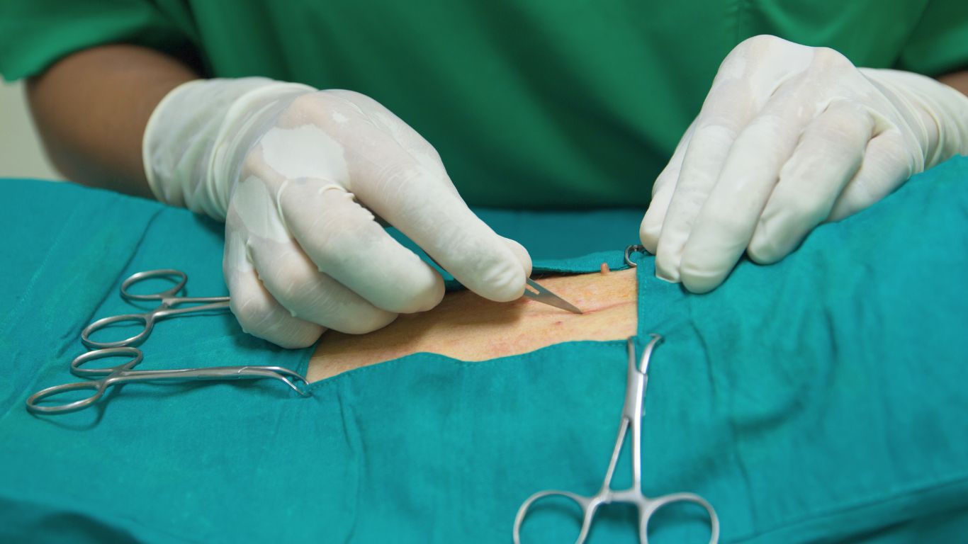 La Importancia de la Esterilización en la Salud de tu Mascota