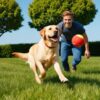 Lanzador de Pelotas para Perros Outdoor | Resistente al Agua y Portátil