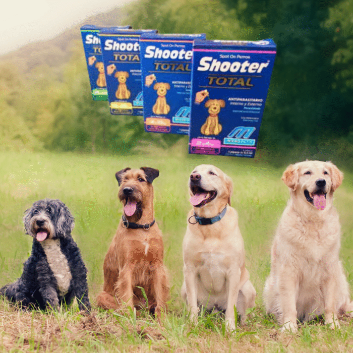 Shooter Pipeta para Perros | Antipulgas y Garrapatas en Presentaciones 2-4 kg, 4-10 kg, 10-25 kg y 25-40 kg
