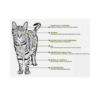 Nupec Felino Adulto Indoor | Alimento Equilibrado para Gatos de Interior