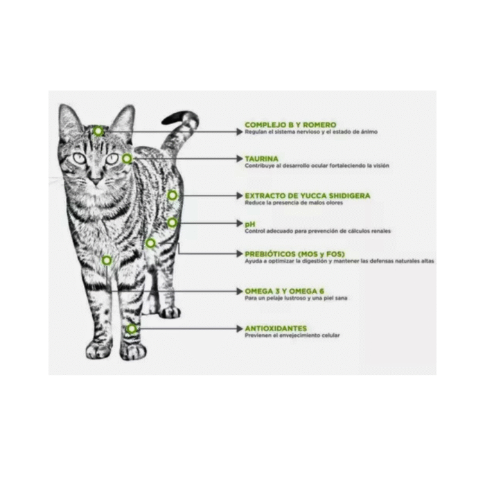 2 Nupec Felino Adulto Indoor | Alimento Equilibrado para Gatos de Interior