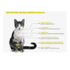 Nupec Felino Urinary | Alimento Especializado para la Salud Urinaria de Gatos