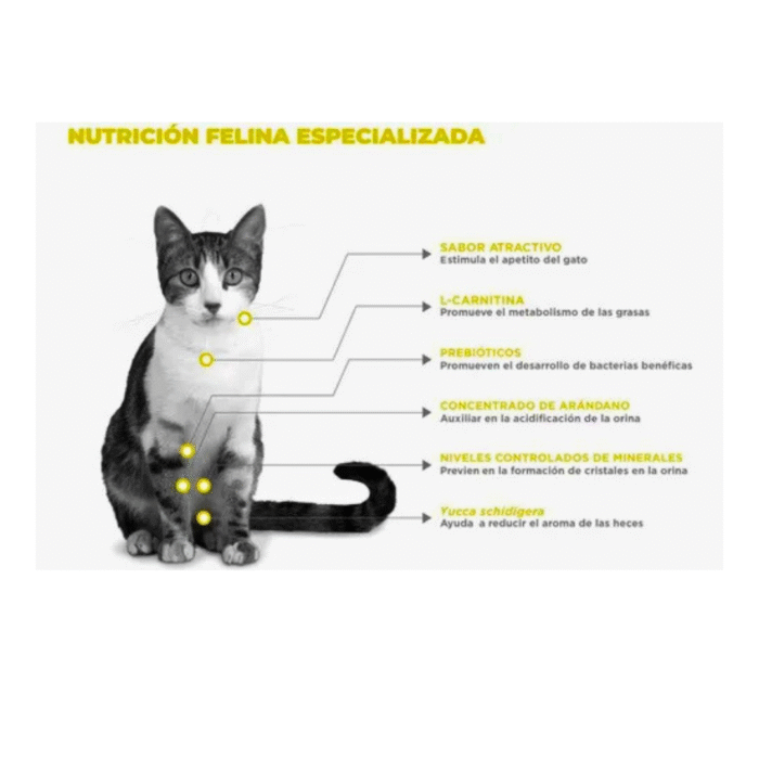 2 Nupec Felino Urinary | Alimento Especializado para la Salud Urinaria de Gatos