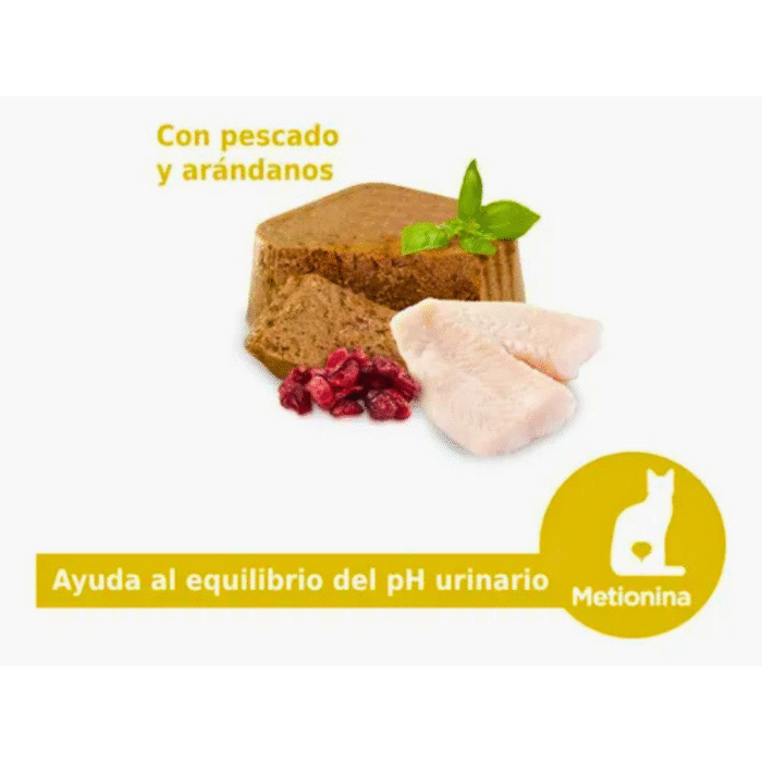 4 Nupec Alimento Húmedo Urinary para Gatos | Cuidado Avanzado del Tracto Urinario