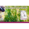 Nupec Felino Renal | Alimento Especializado para Gatos con Enfermedad Renal
