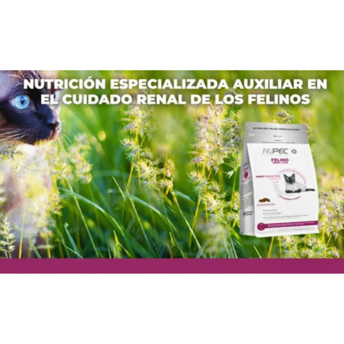 4 Nupec Felino Renal | Alimento Especializado para Gatos con Enfermedad Renal