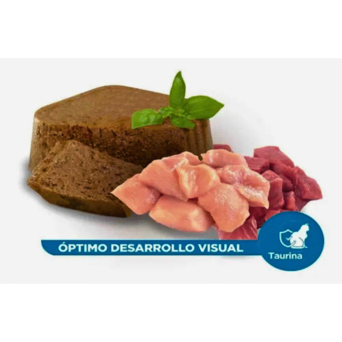 4 Nupec Alimento Húmedo Kitten | Nutrición Completa y Suave para Gatitos