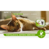 Nupec Alimento Húmedo Felino Indoor | Nutrición Deliciosa para Gatos de Interior