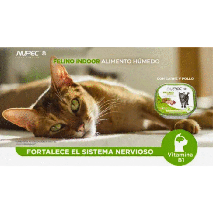 5 Nupec Alimento Húmedo Felino Indoor | Nutrición Deliciosa para Gatos de Interior