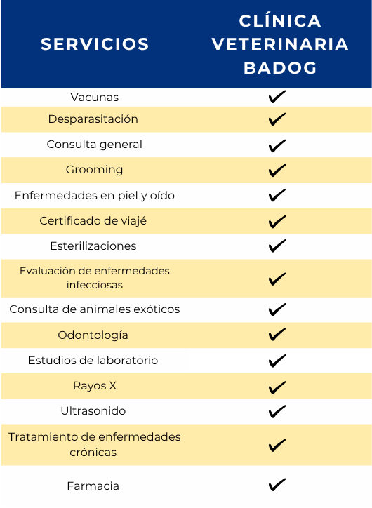 Servicios Imagen de los servicios de Mascotas BaDog en León, Gto, mostrando consulta general, vacunación, tratamientos BaDog Vital con ácido hialurónico y células madre, estética Splash BaDog y productos y suplementos naturales para perros y gatos.